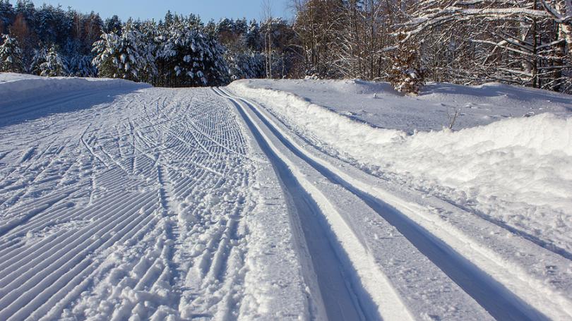 Na drbu bekrskych trat vyhlsilo mesto Bansk Bystrica dobrovon zbierku