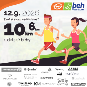 Banner 300x300+partners